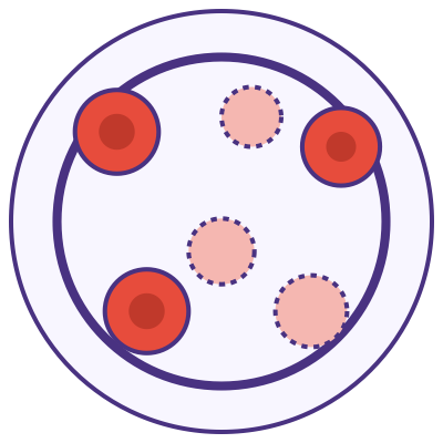 Anemia Medication