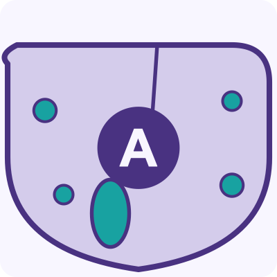 Hepatitis A Medications