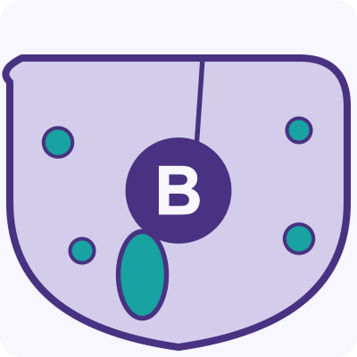 Hepatitis B Medication