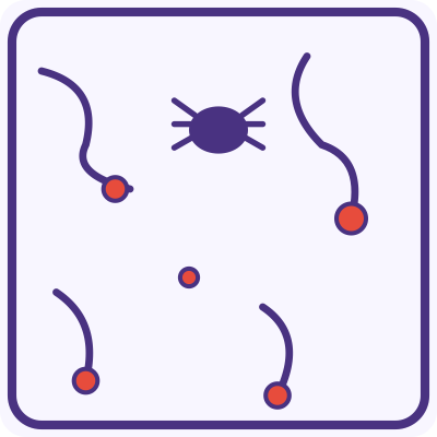 Scabies Medication