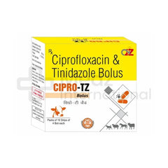 Ciprofloxacin and tinidazole bolus