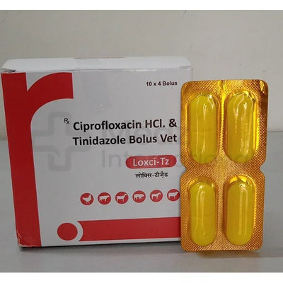 Ciprofloxacin and tinidazole bolus