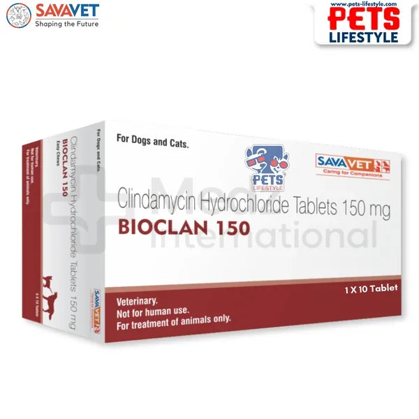 Clindamycin For Dogs & Cats