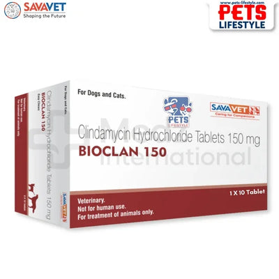 Clindamycin For Dogs & Cats